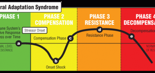 general_adaptation_syndrome