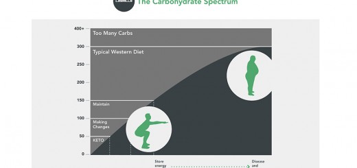 nutrition-carbs-101-infographic